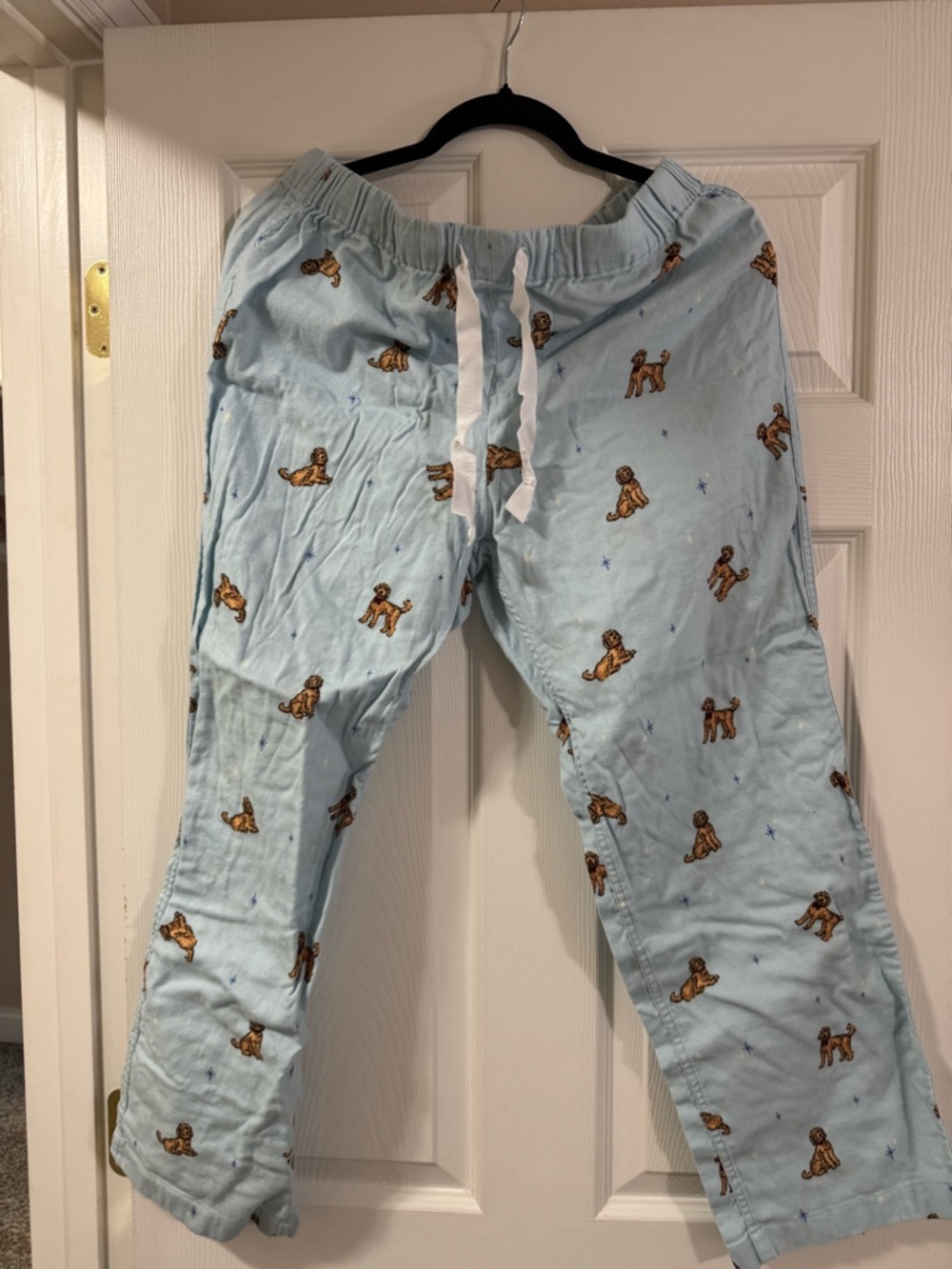 J. Crew Pale Blue Goldendoodle Lounge Pants